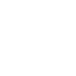 Icon Icon